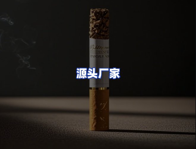 专业团队